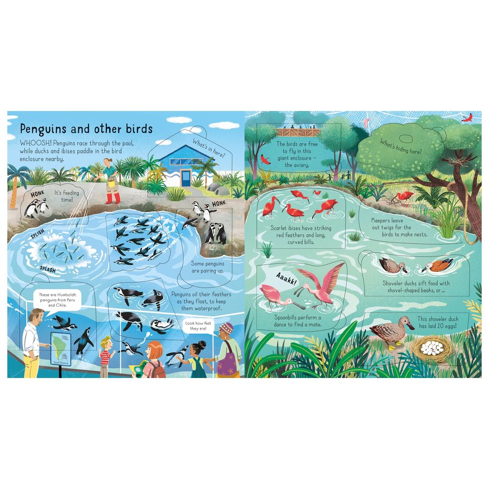 Look Inside - A Zoo