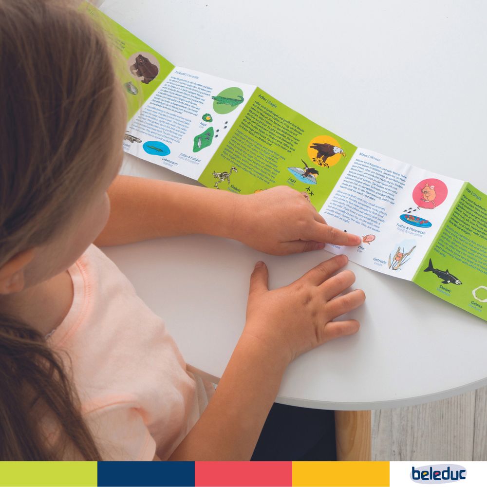 Beleduc - Nawito Matching Puzzle - Animals