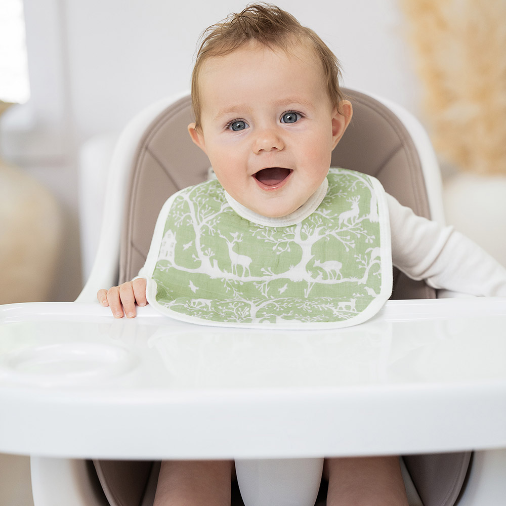 Aden + Anais - Cotton Muslin Baby Snap Bibs - Harmony - Pack of 3